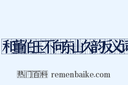 和董伯玉不向东山久韵反义词是什么意思的图片